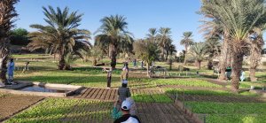 Image / illustration